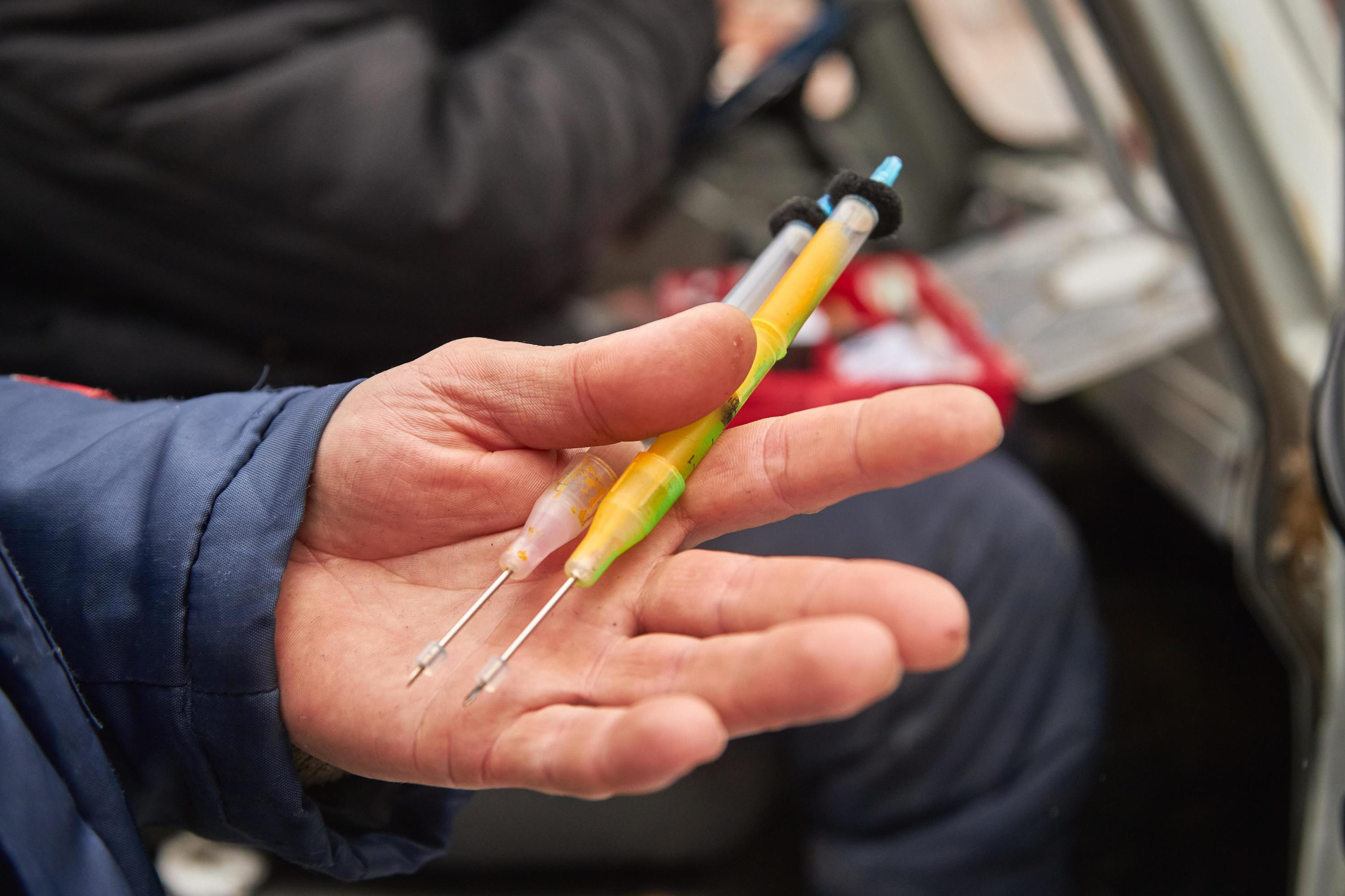 Новосибирскую службу отлова бездомных собак оштрафовали за плохую ...