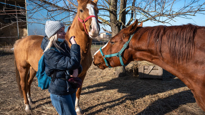 Вольно и спокойно: где в Ростове и окрестностях пообщаться с лошадьми