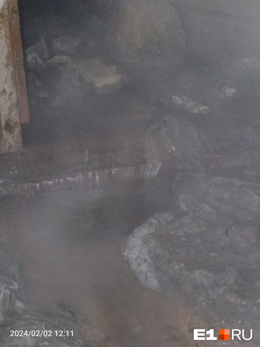 «Вторую неделю дышим канализацией!» В Екатеринбурге жилой дом затопило фекалиями