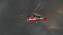 В Москве арестовали пятерых поджигателей вертолета: главные новости за 30<nobr class="_"> апреля</nobr>