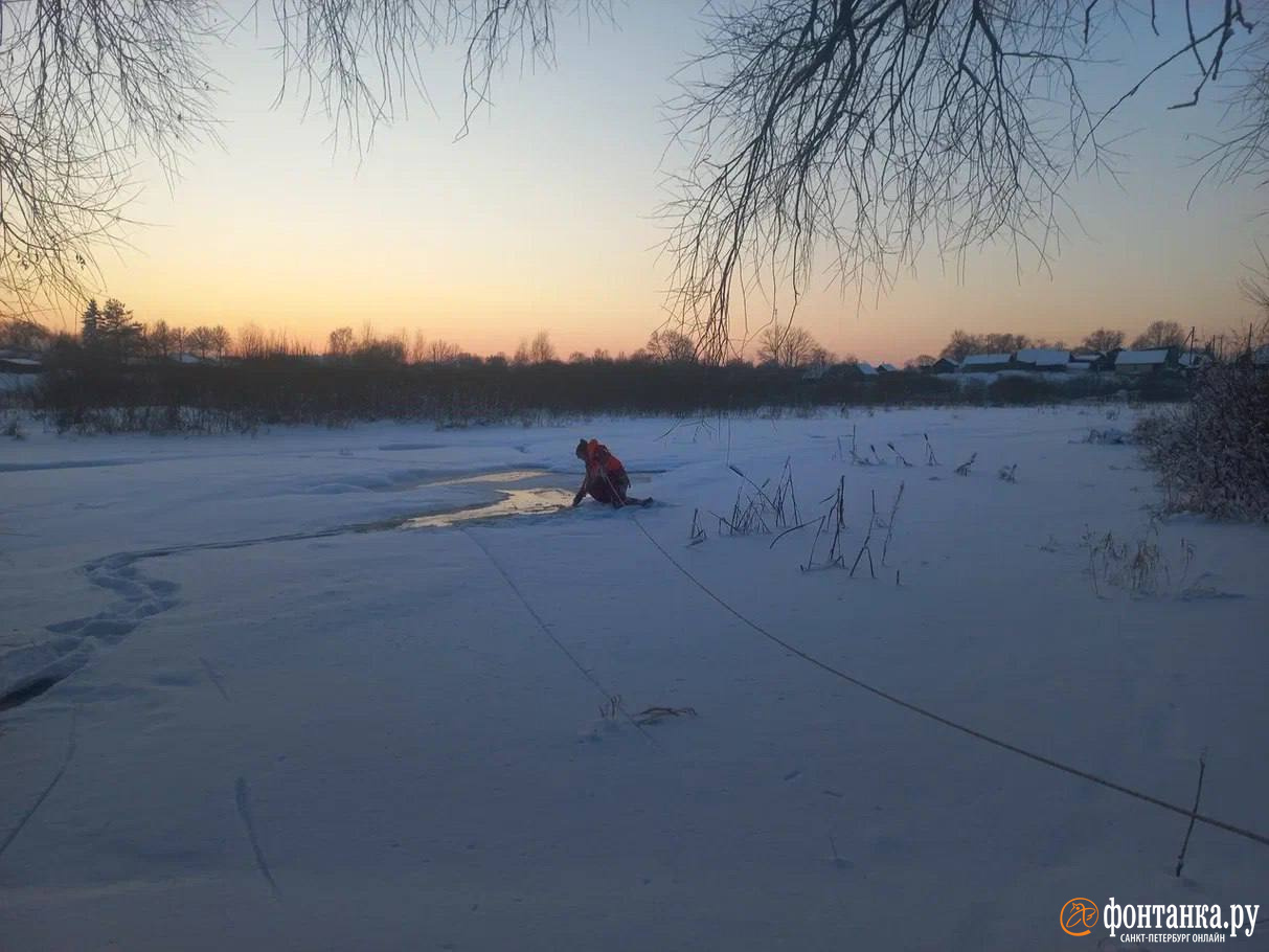 11-летнюю девочку нашли убитой в Порховском районе Псковской области, как  ее искали волонтеры «ЛизыАлерт» - 26 февраля 2024 - ФОНТАНКА.ру