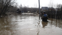 Дачи уходят под воду: новосибирское СНТ затопило по пояс — кадры улиц, до которых добрался паводок