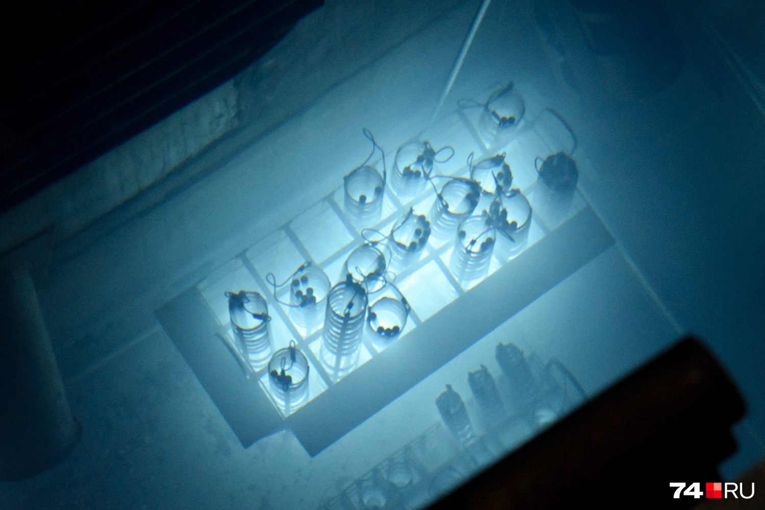 Этот снимок сделан в полной темноте: вода светится из-за нахождения в ней крайне радиоактивных прутков (они стоят вертикально в сетках). По сути, это склад продукции, а вода выполняет роль защиты