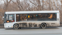 Зависнем в «Вива Лэнде»: перевозчик изменил режим работы автобуса <nobr class="_">№ 34</nobr>