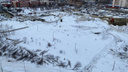 «Опять каменных мешков настроят». В Челябинске срубили десятки деревьев для строительства университетского кампуса