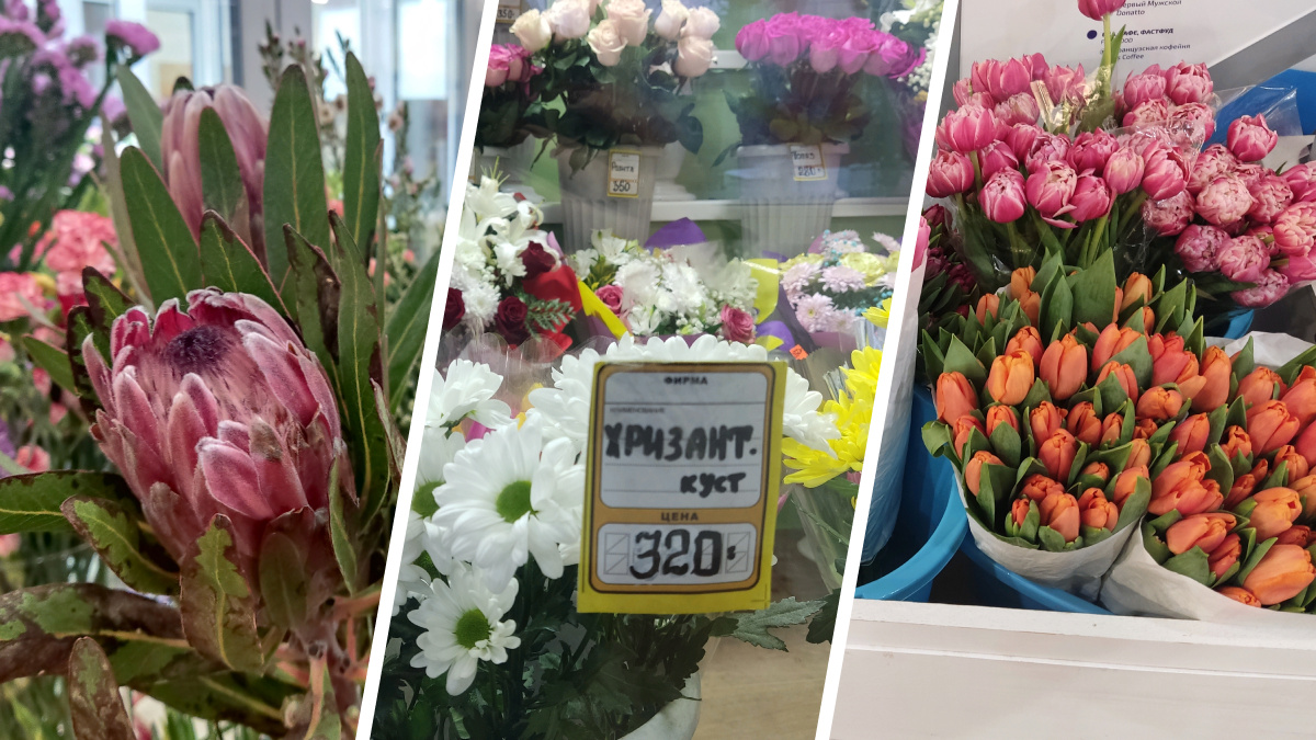 От дежурных тюльпанов до нарциссов: какие цветы и за сколько продают в Архангельске перед <nobr class="_">8 Марта</nobr>