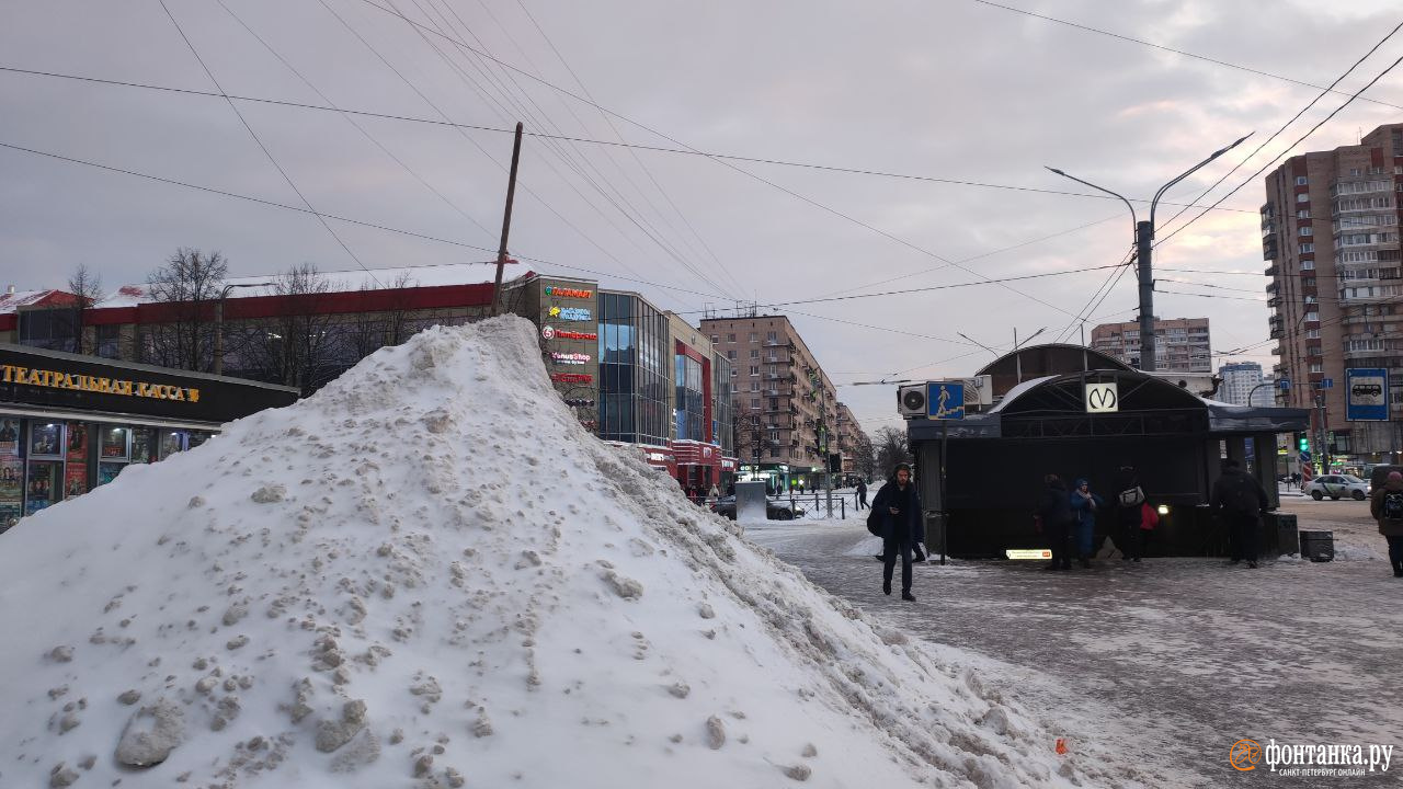 Снег в Петербурге, опрос про погоду - 28 ноября 2023 - ФОНТАНКА.ру