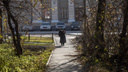Новосибирские пенсионеры не получили пенсию в нужную дату — что говорит соцфонд