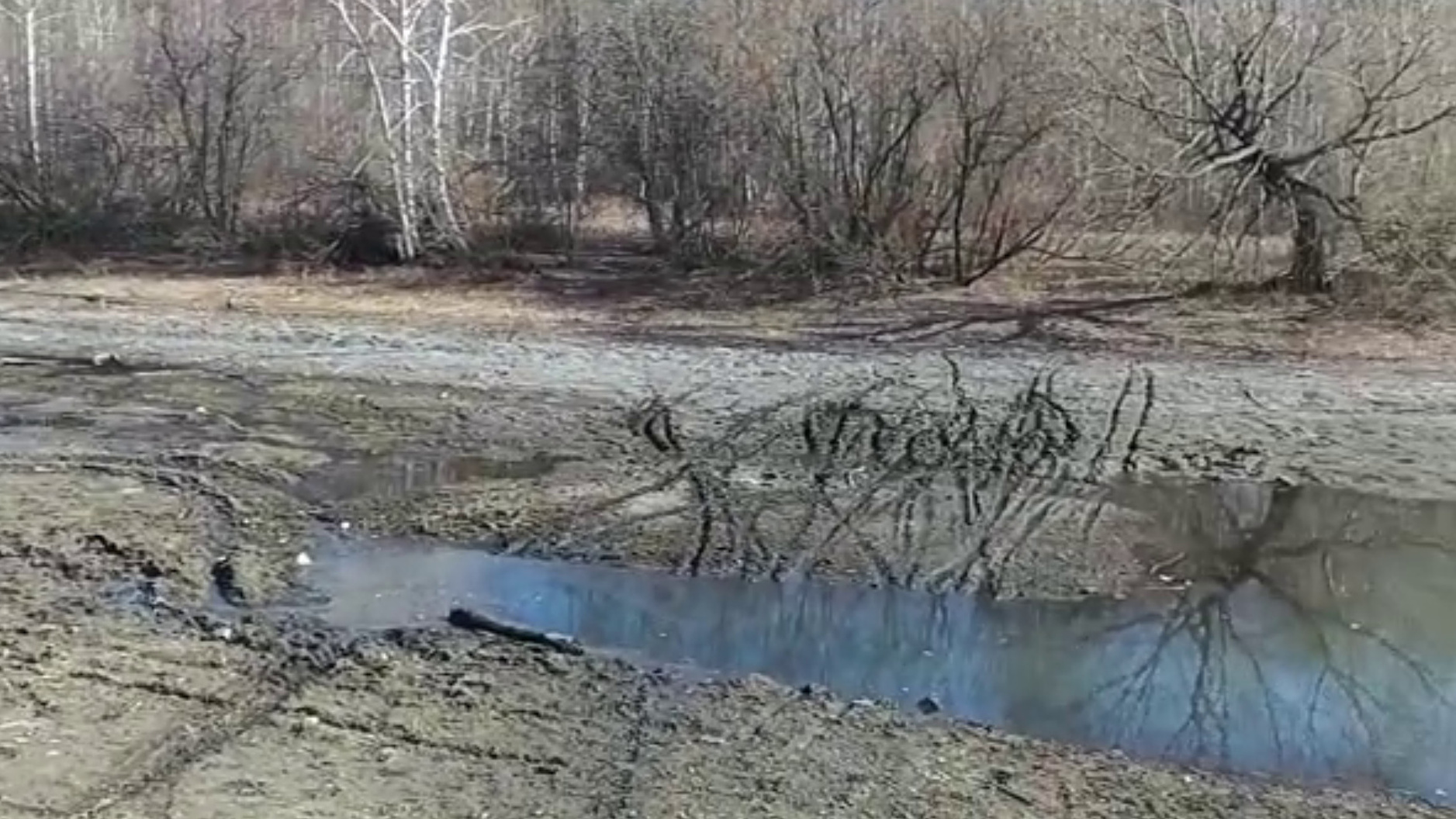 В Екатеринбурге из-за аномальной засухи пересохло целое озеро: видео