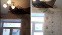 «Трещины пошли, там дыра огромная»: видео из новосибирской квартиры, в которой рухнул потолок