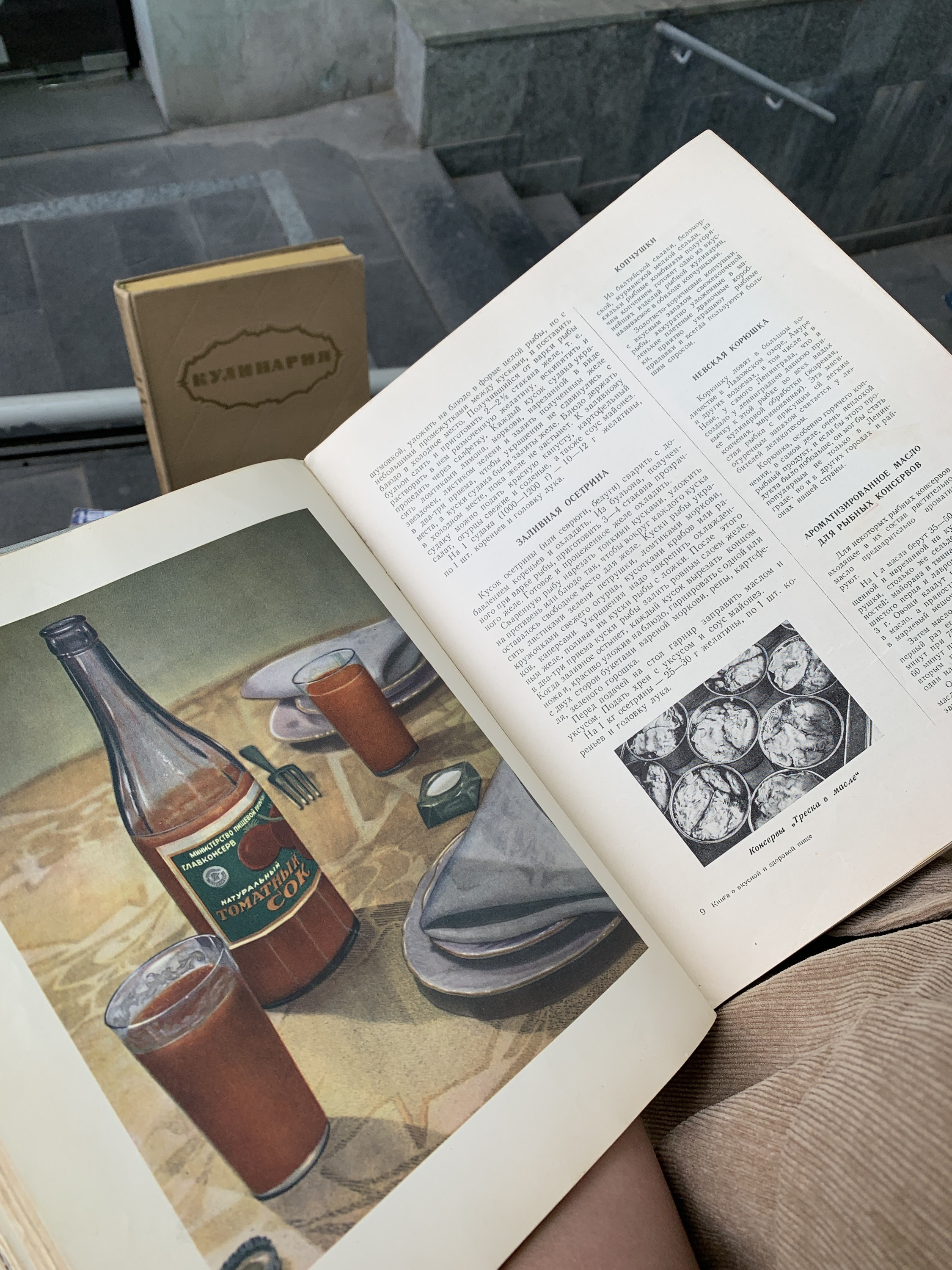 — На развалах нашли книгу «Кулинария», изданную в 1952 году. Это книга о вкусной и здоровой пище, — рассказывает Василина