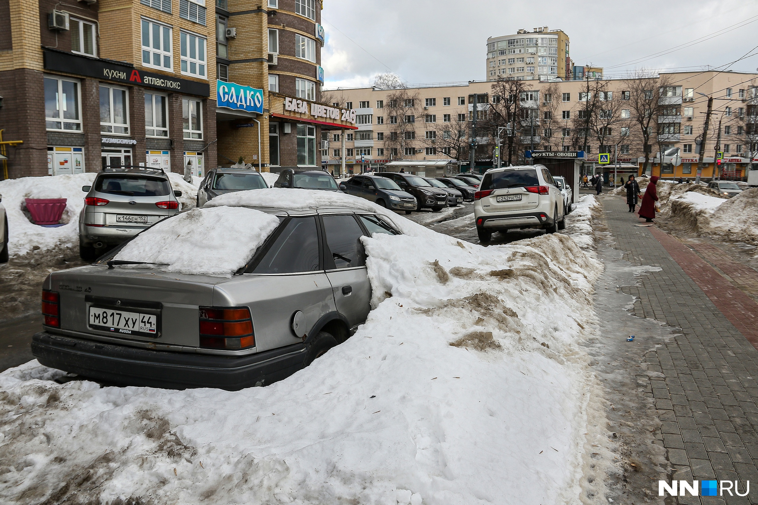 Любитель дорогой