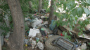 «Можно даже червей накопать»: возле нового ЖК рядом с Димитровским мостом разрастается мусорная гора