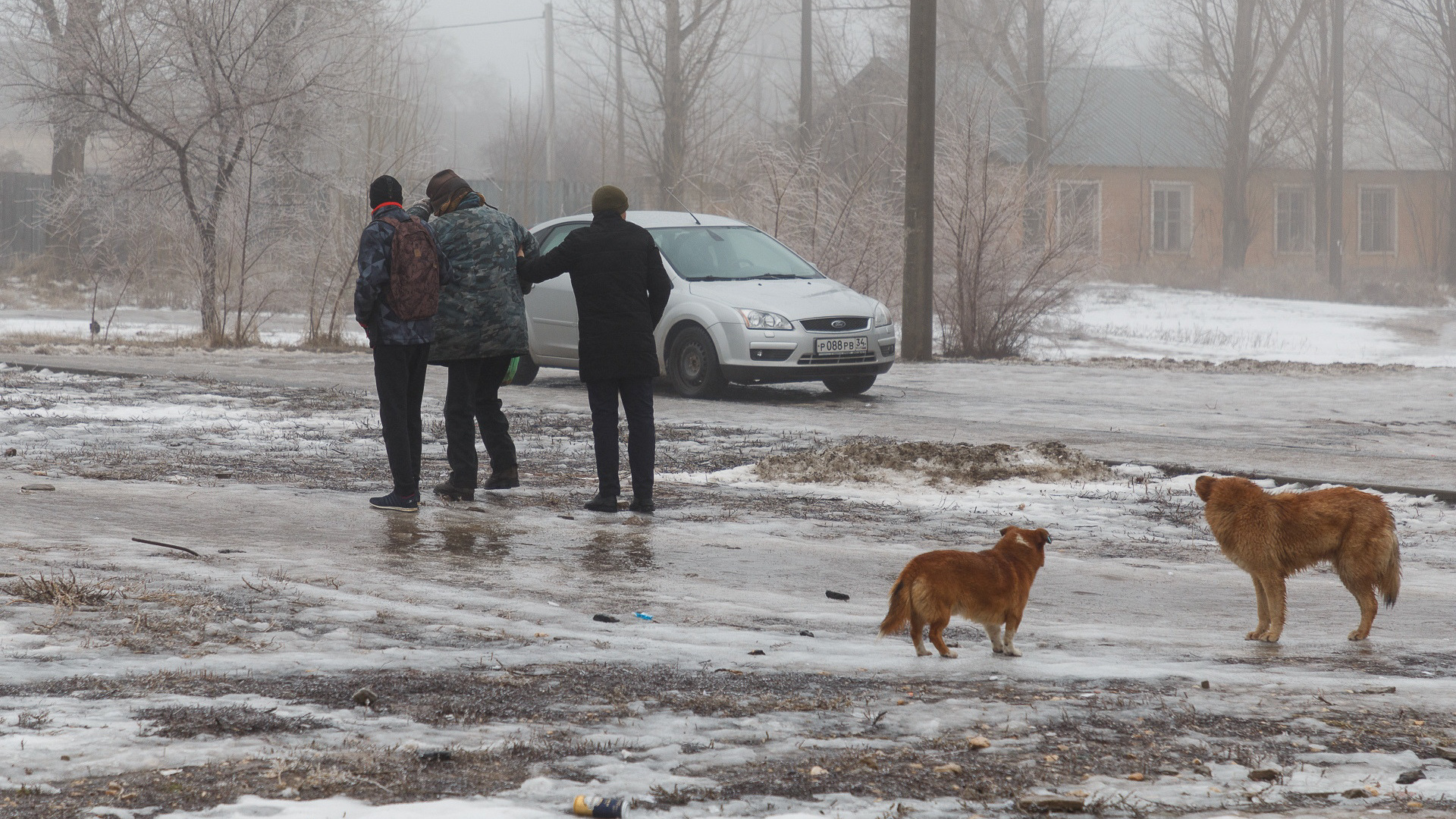 Ветер срывает крыши, а гололед валит с ног: синоптики предупреждают о перемещении диких морозов в Волгоград и область