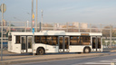 В Ростове запустят четыре новых автобусных маршрута