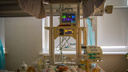 В курганской больнице лечат ребенка, выпавшего из окна