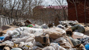 Правительство опубликовало проект для мусорных полигонов в НСО — где они расположатся