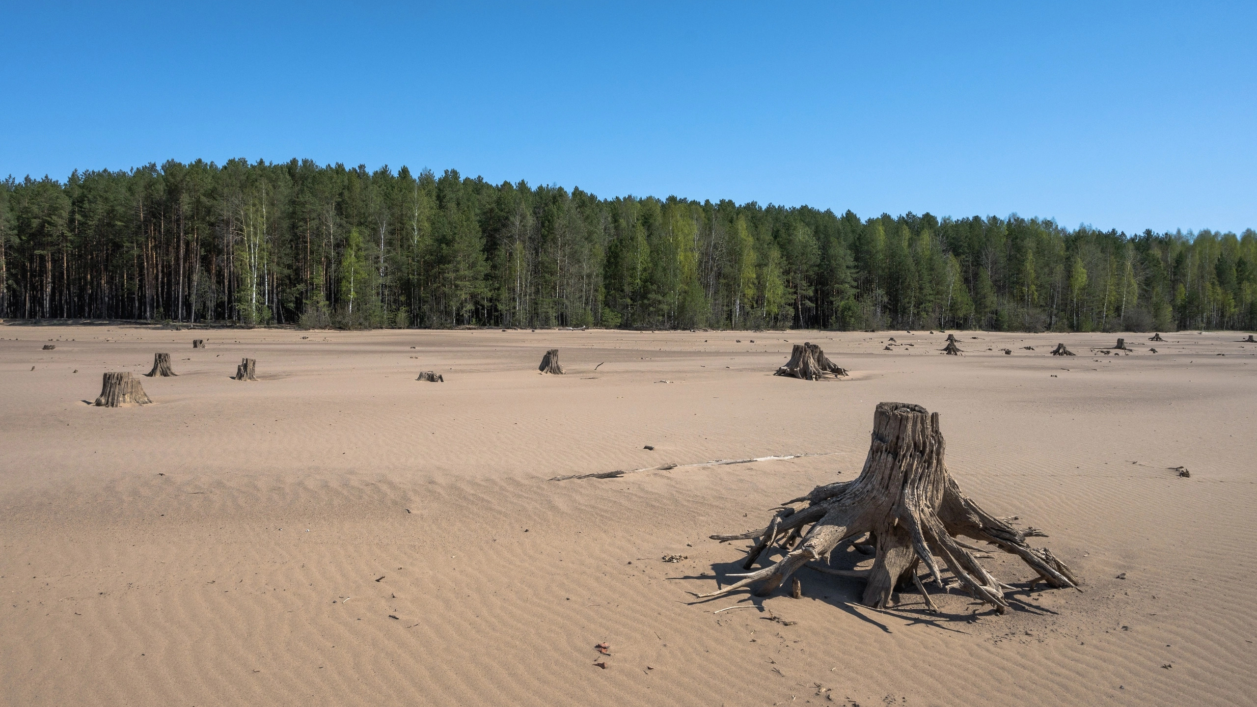 Пермские реки, песчаные берега: подборка живописных мест для шашлыков (и не только) со свободным доступом