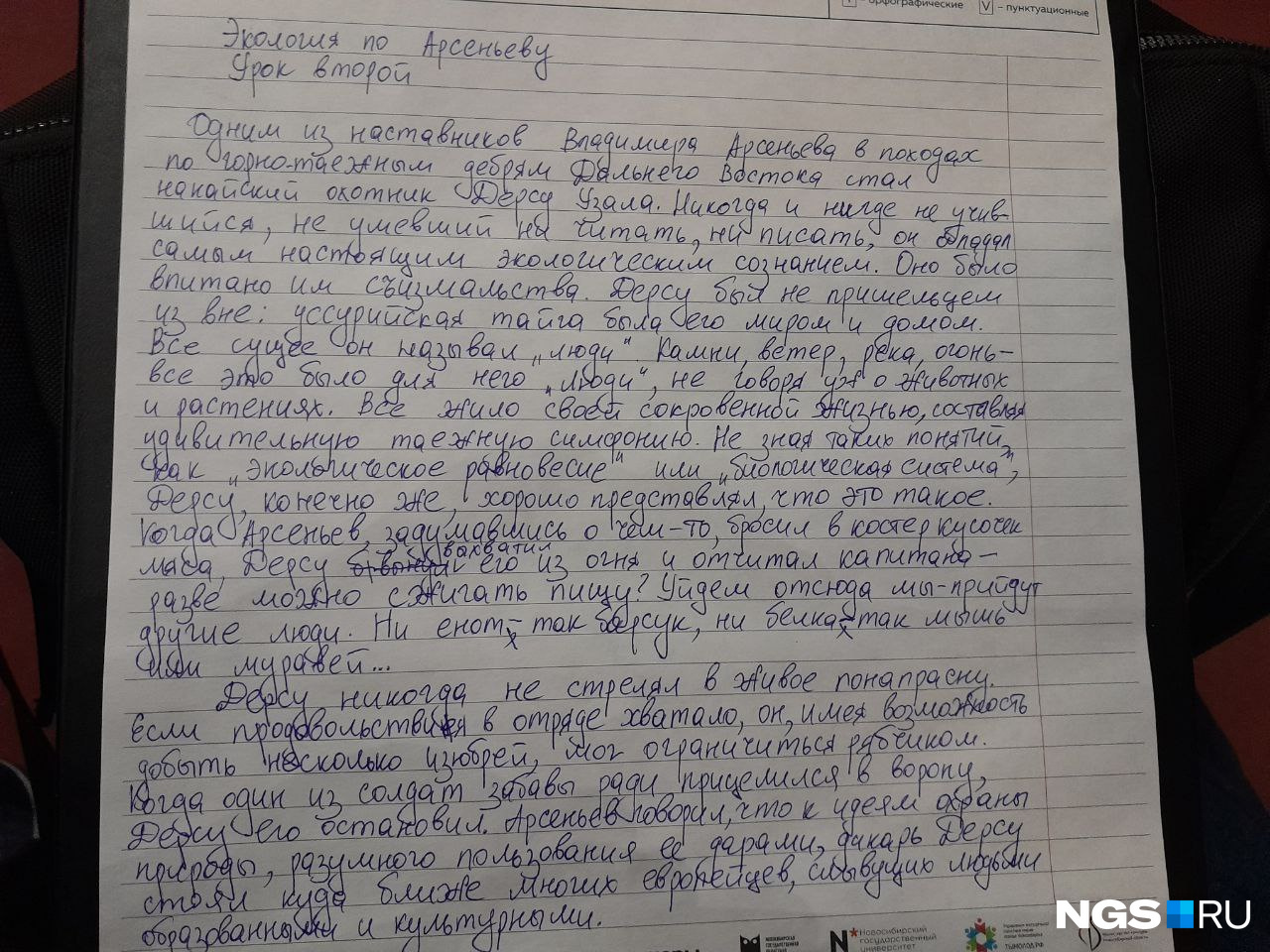 Как правильно писать сызмальства. Сызмальства предложение. Диктанты 6 класс с ошибками. Фото Тотальный диктант 2023 Новосибирск мэрия.