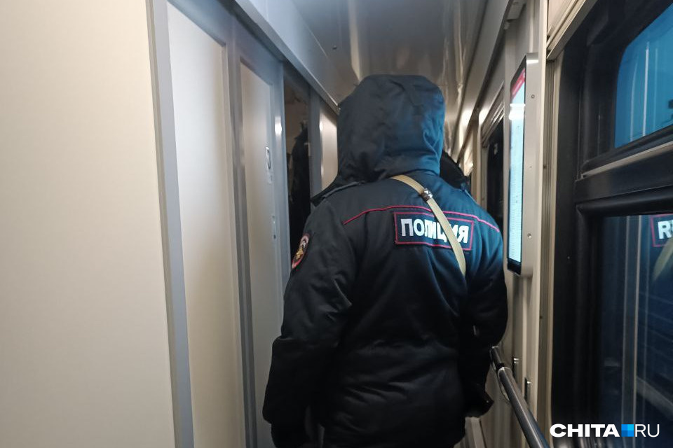 Жителя Иркутска сняли с поезда Москва — Чита за драку с проводником