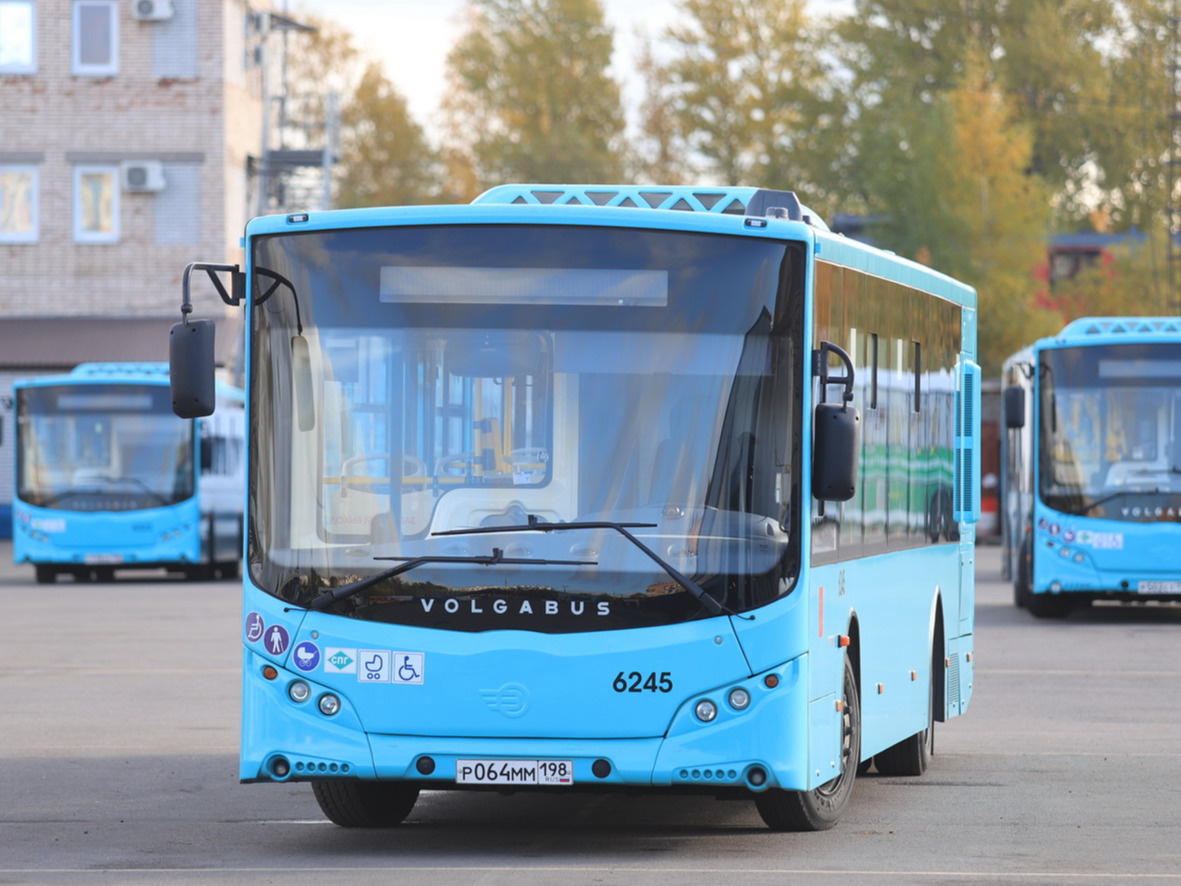 «Никогда автобуса не видели». Лукашенко заявил, что в Петербурге не умеют обращаться с автобусами из Белоруссии