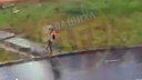 Удар молнии убил мужчину в подмосковной Балашихе: видео