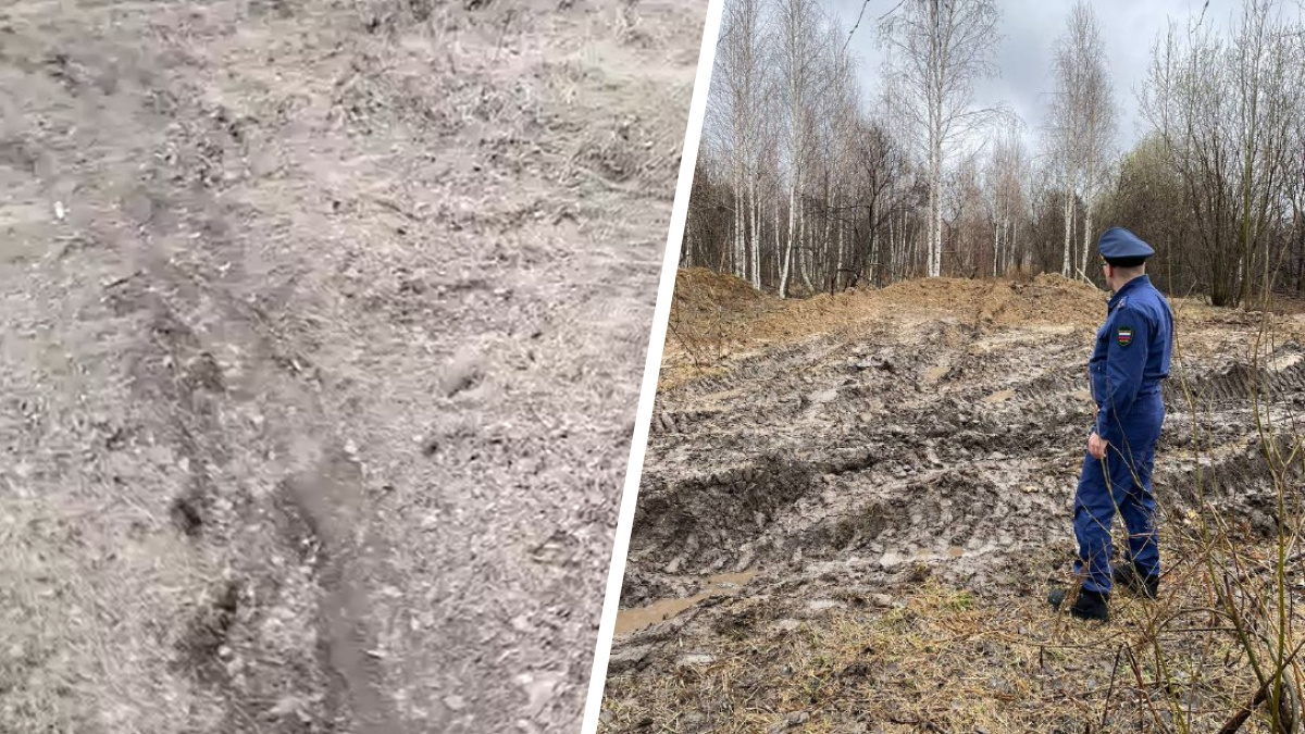 Незаконный скотомогильник нашли под Новосибирском — прокуратура начала проверку