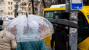 Накроет в ближайшие часы: МЧС дало экстренное предупреждение о грозе и ветре в Ярославле