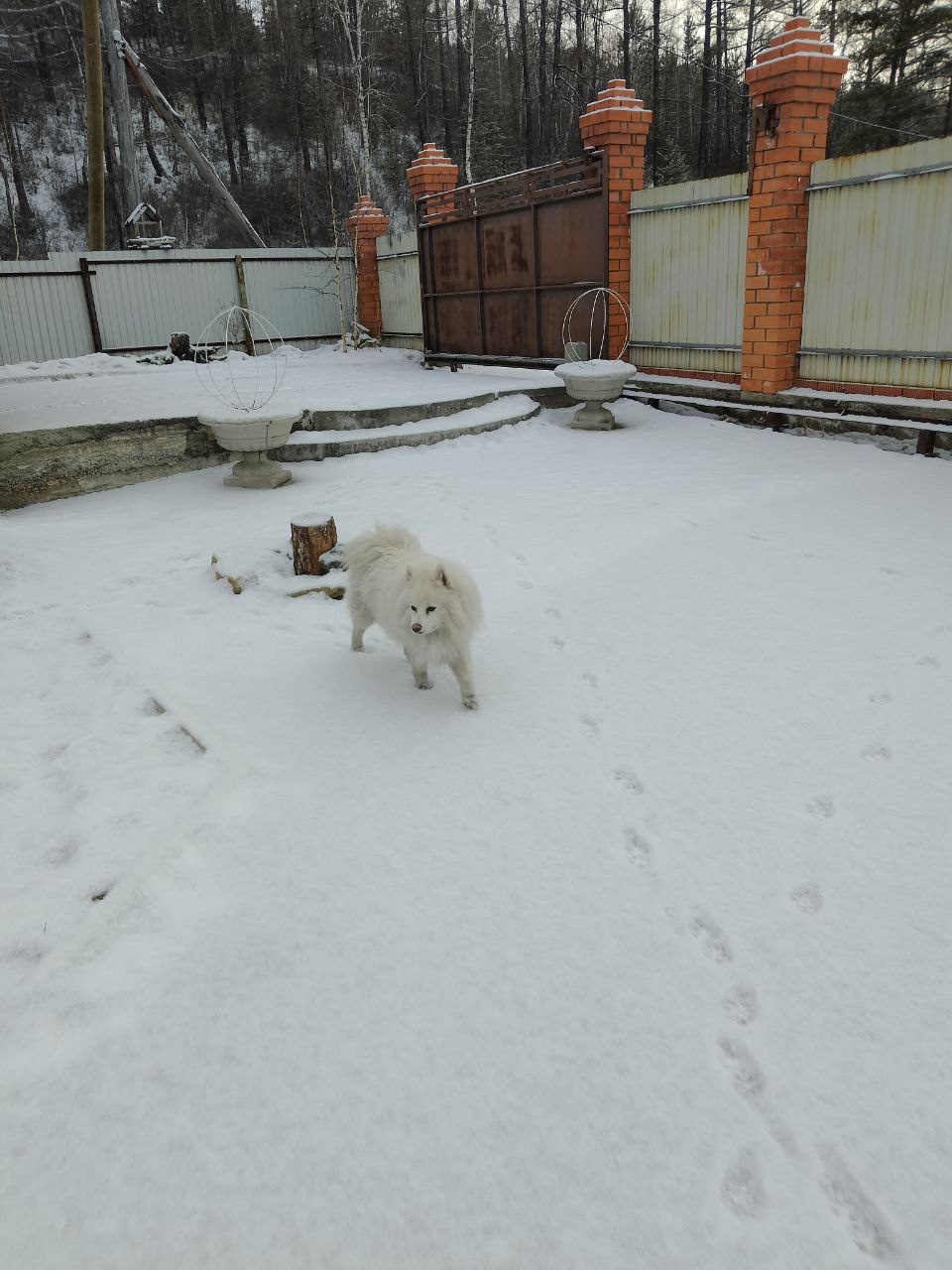 Снег выпал в забайкальском селе Смоленка