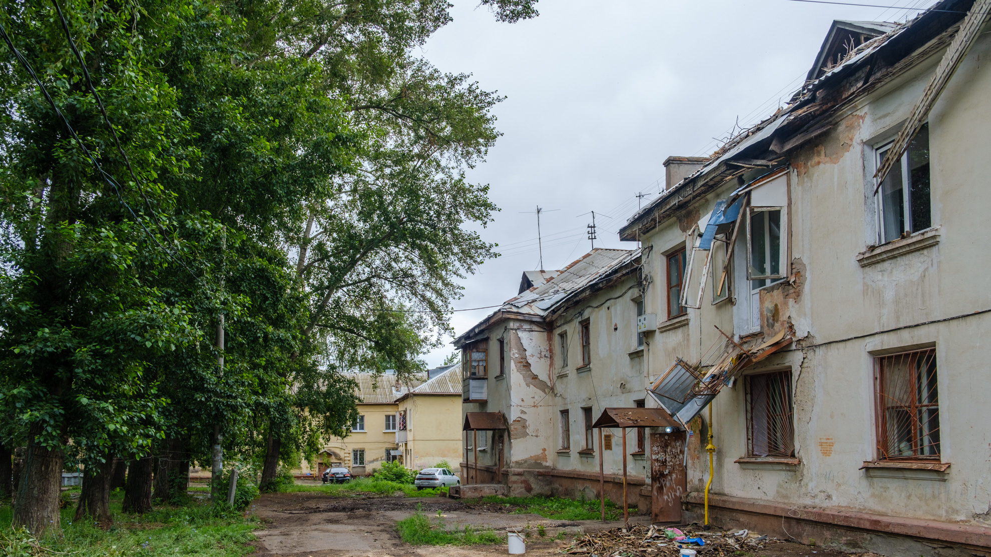 Деревья: последние новости на сегодня, самые свежие сведения | УФА1.ру -  новости Уфы