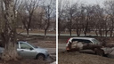 «У кого-то утро недоброе»: в Тольятти дерево раздавило сразу два автомобиля