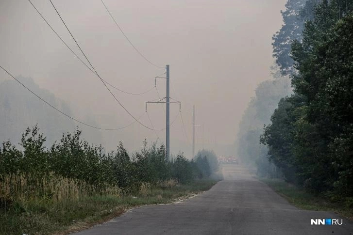 Керженский заповедник охватил лесной пожар. Огонь распространился на 2 гектара