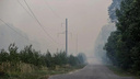 Керженский заповедник охватил лесной пожар. Огонь распространился на <nobr class="_">2 гектара</nobr>