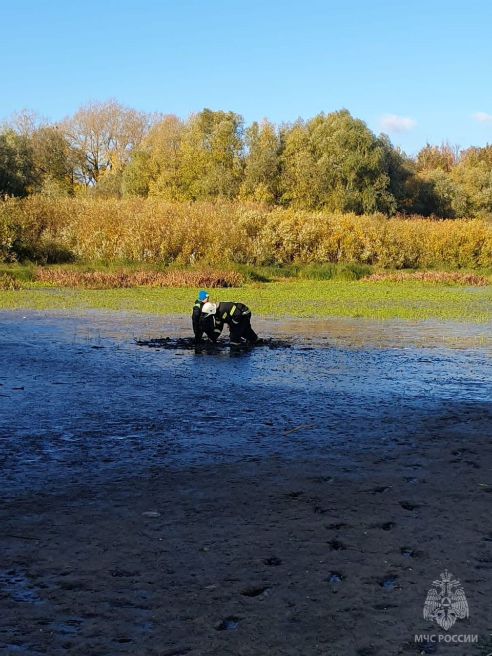 Из реки Волхов в Новгороде спасли двух детей, которые завязли в жиже - 22  октября 2023 - ФОНТАНКА.ру