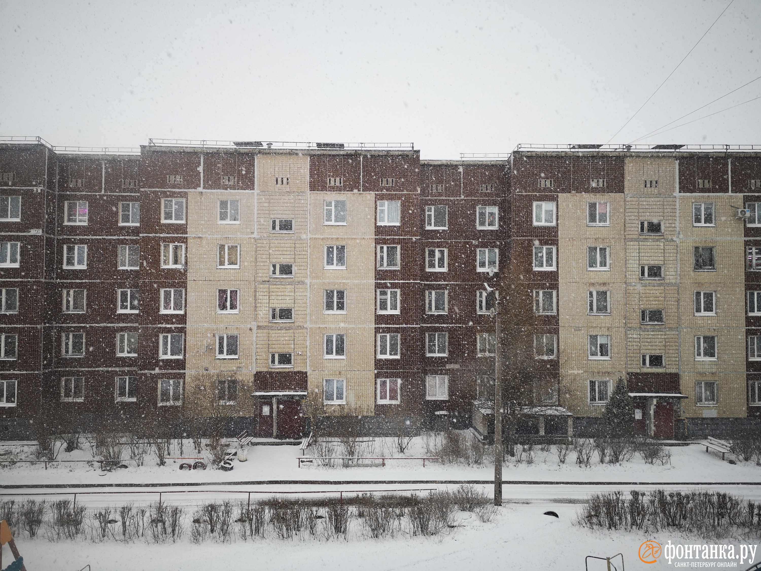 Снежная туча на подступах. Что скоро ждет Петербург, уже показывает Ленобласть