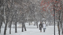 Недельный снегопад и потепление до +1 градуса: какая погода будет в Новосибирске в январе — прогноз