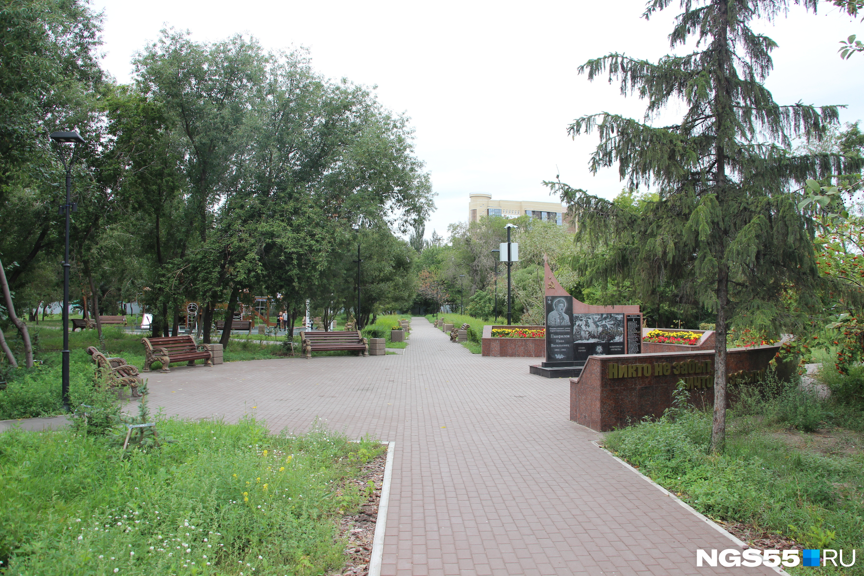 Но территория начинает зарастать травой
