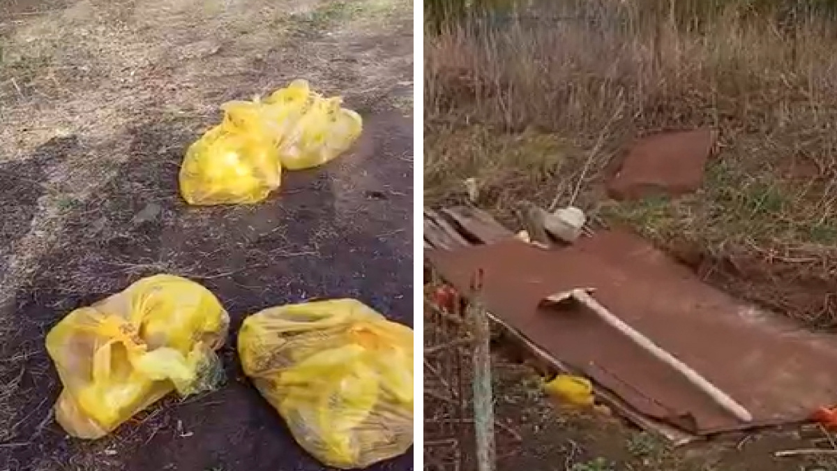 «Собаки уже растаскивают»: больница Чистополя выкинула окровавленные пакеты на кладбище