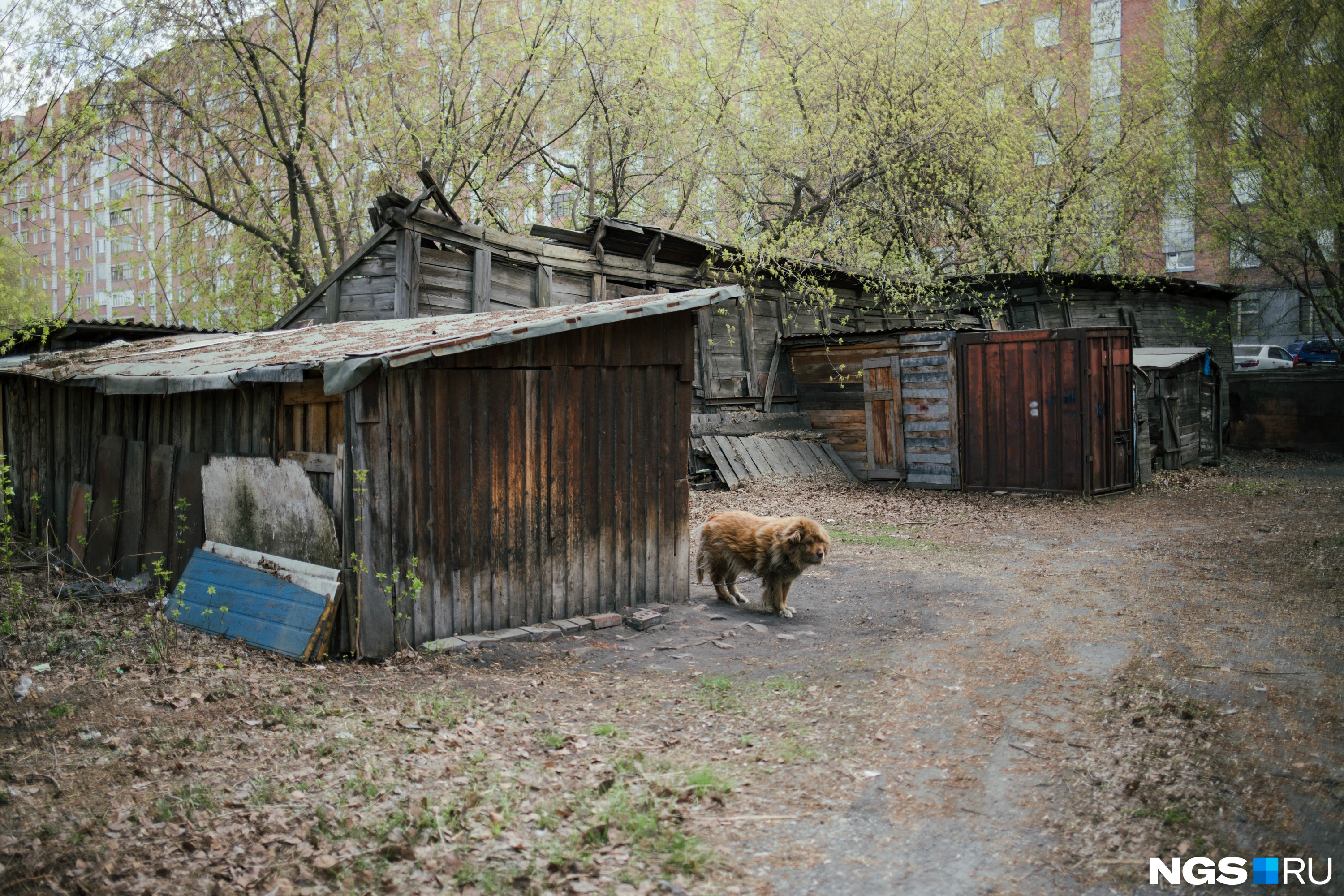 Нижняя часть Первомайки — непарадная. Тут меньше «сталинок», но больше деревянных построек Нижняя часть Первомайки — непарадная. Тут меньше «сталинок», но больше деревянных построек
