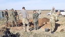 В Ростовской области обнаружили останки 11 бойцов Красной армии