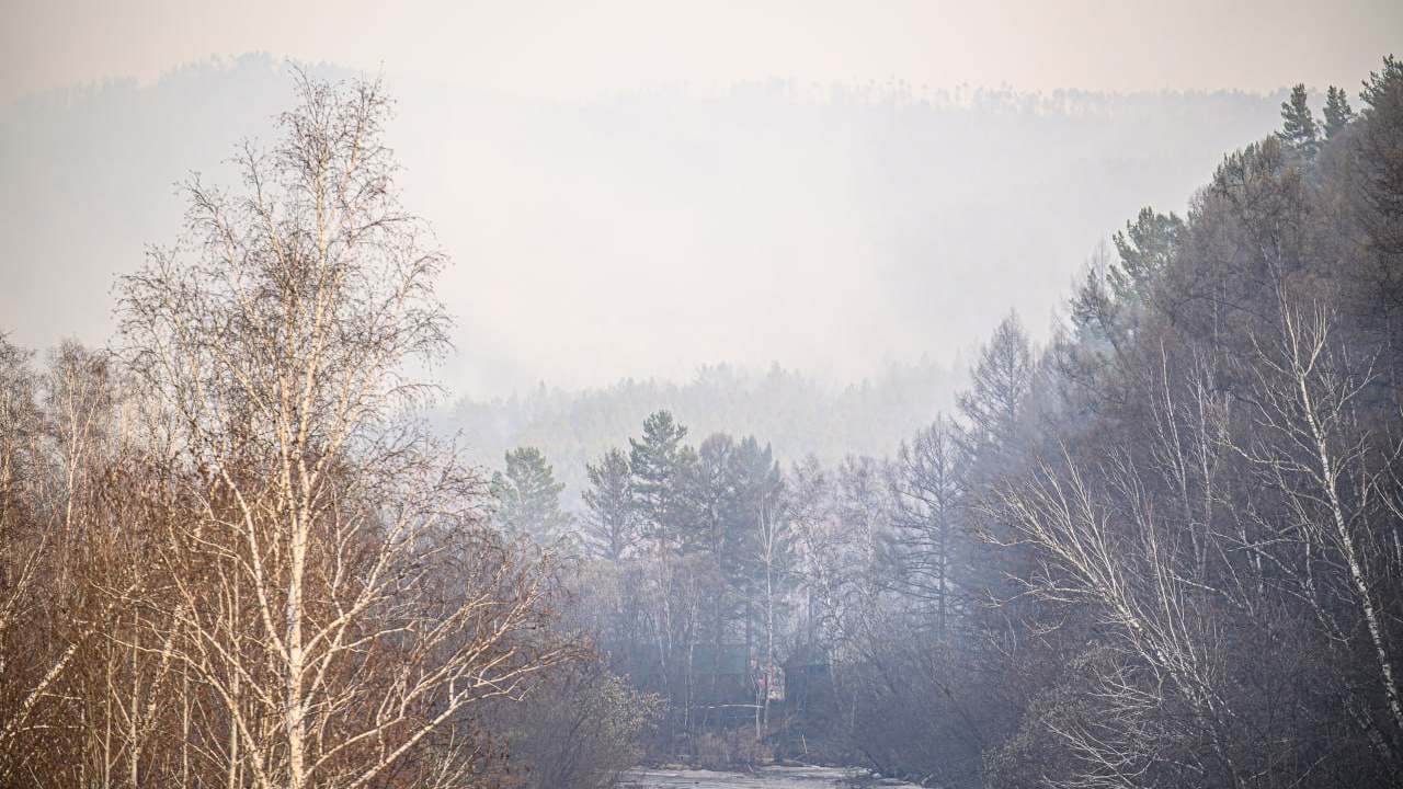 Дым окутал Борзю — пожар площадью в 3000 гектаров возник недалеко от города