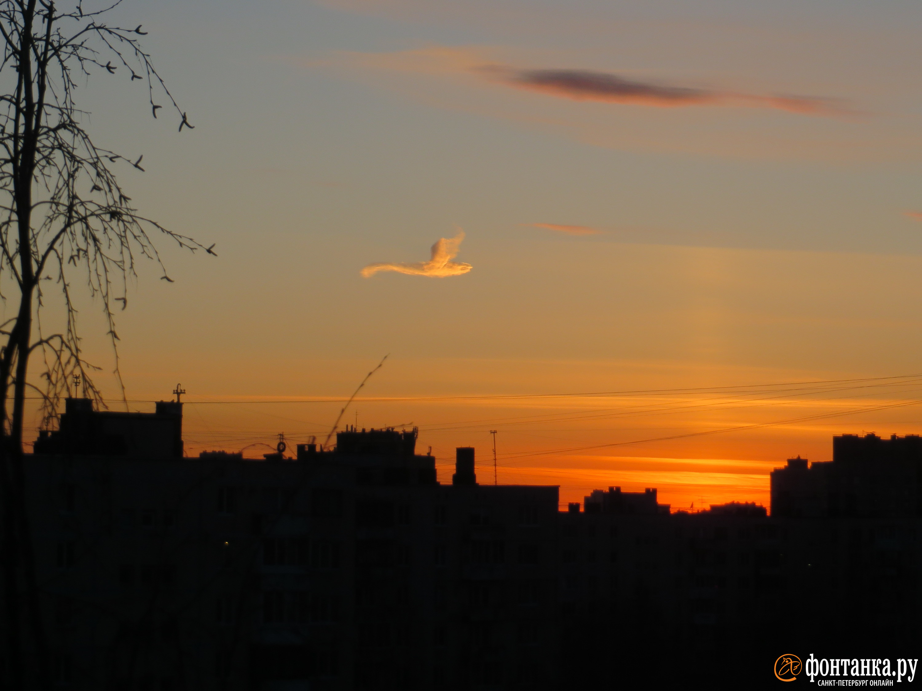 Это не птица. Странное облако появилось в Петербурге у солнечного столба