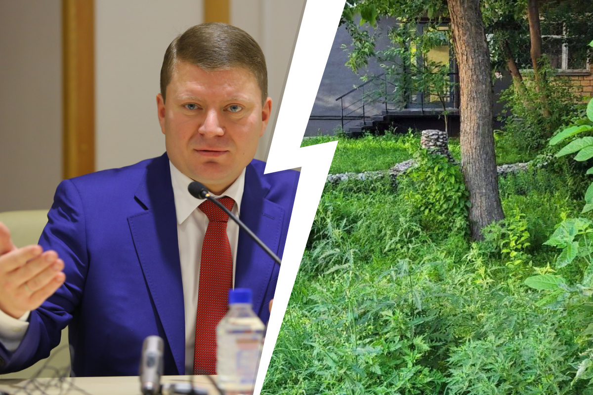 «Командировка оставила много сорняков в душе»: экс-мэр Сергей Еремин раскритиковал заросли в Красноярске
