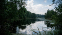Права на использование 34 озер в Новосибирской области выставили на торги — сколько за них просят