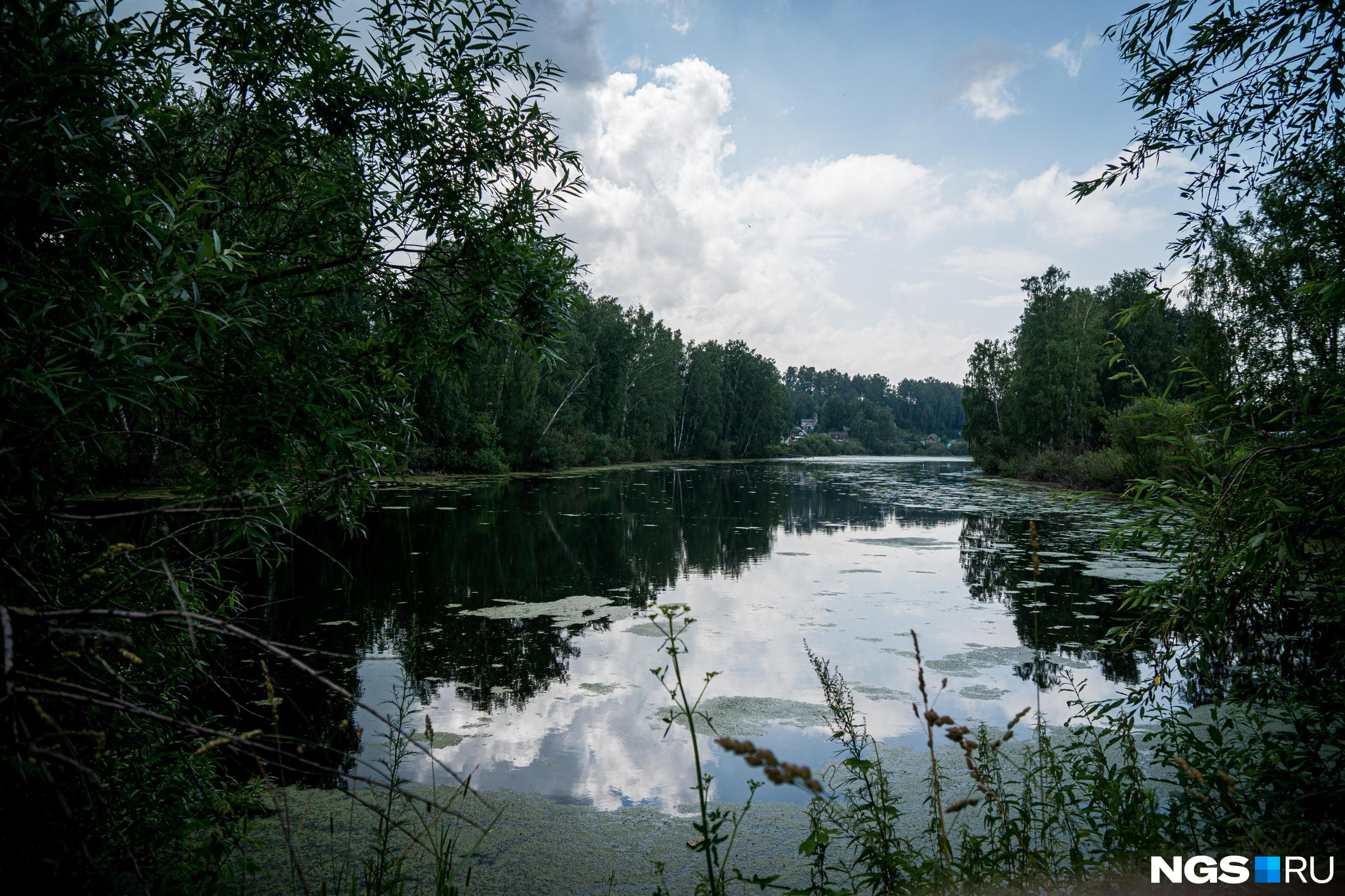 Купить озеро новосибирск. Озера в Новосибирской области пять озер. Сарыбалык Доволенский район. Озеро Тармакуль Новосибирская. Озеро чёрное Новосибирская область.