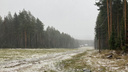 Челябинскую область начало засыпать снегом