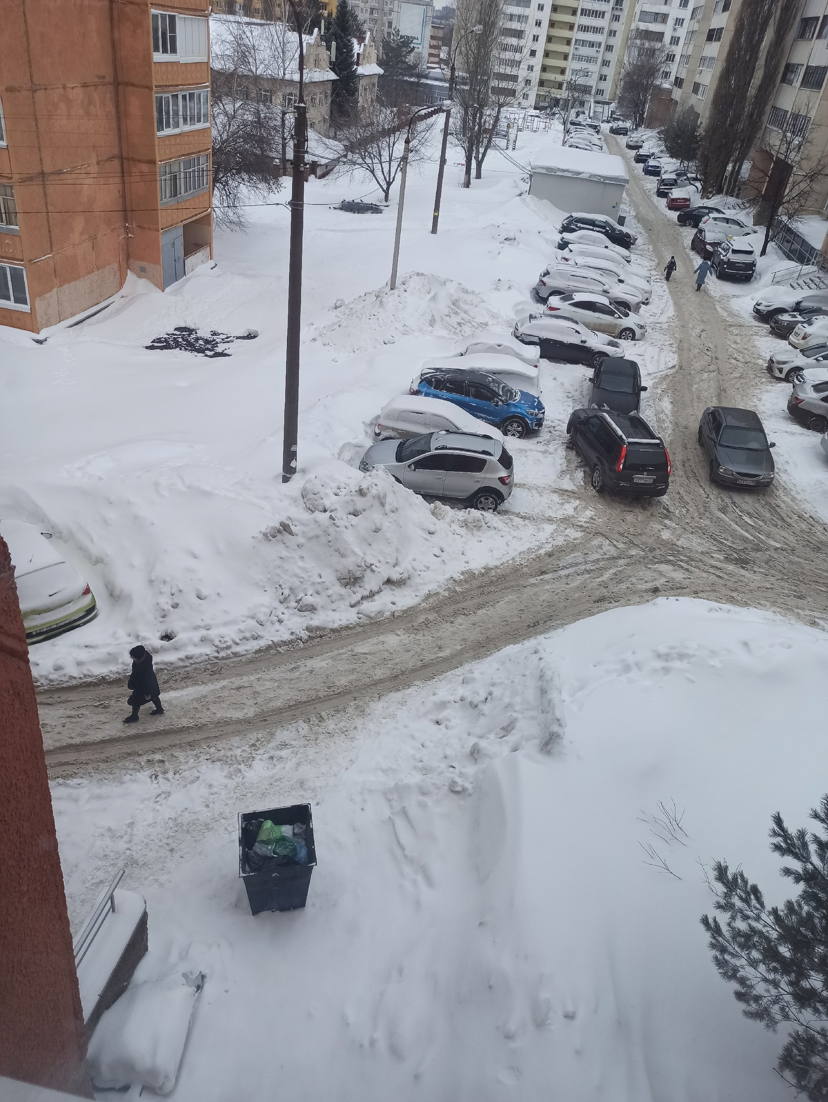 Скоро и мусорку под окном завалит снегом