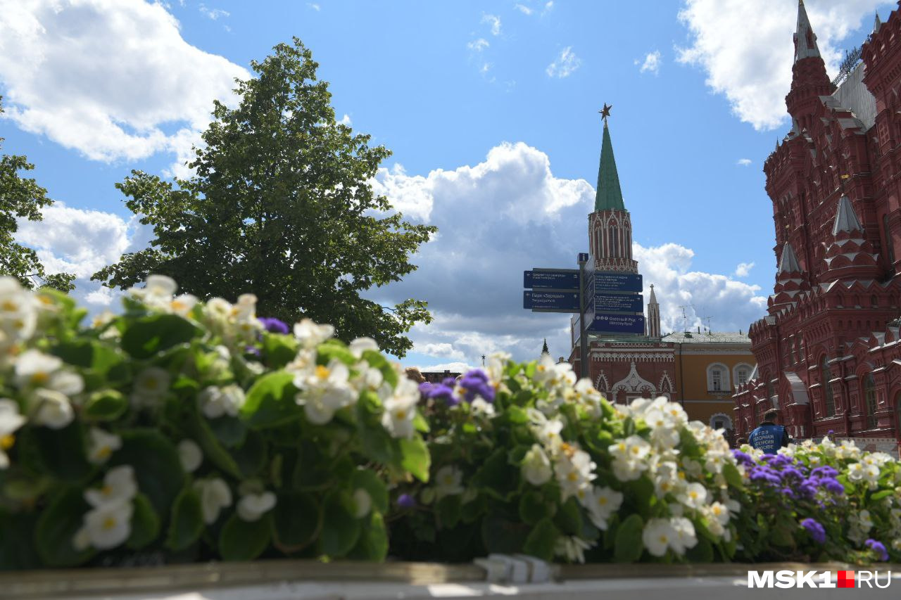 красная площадь в цветах