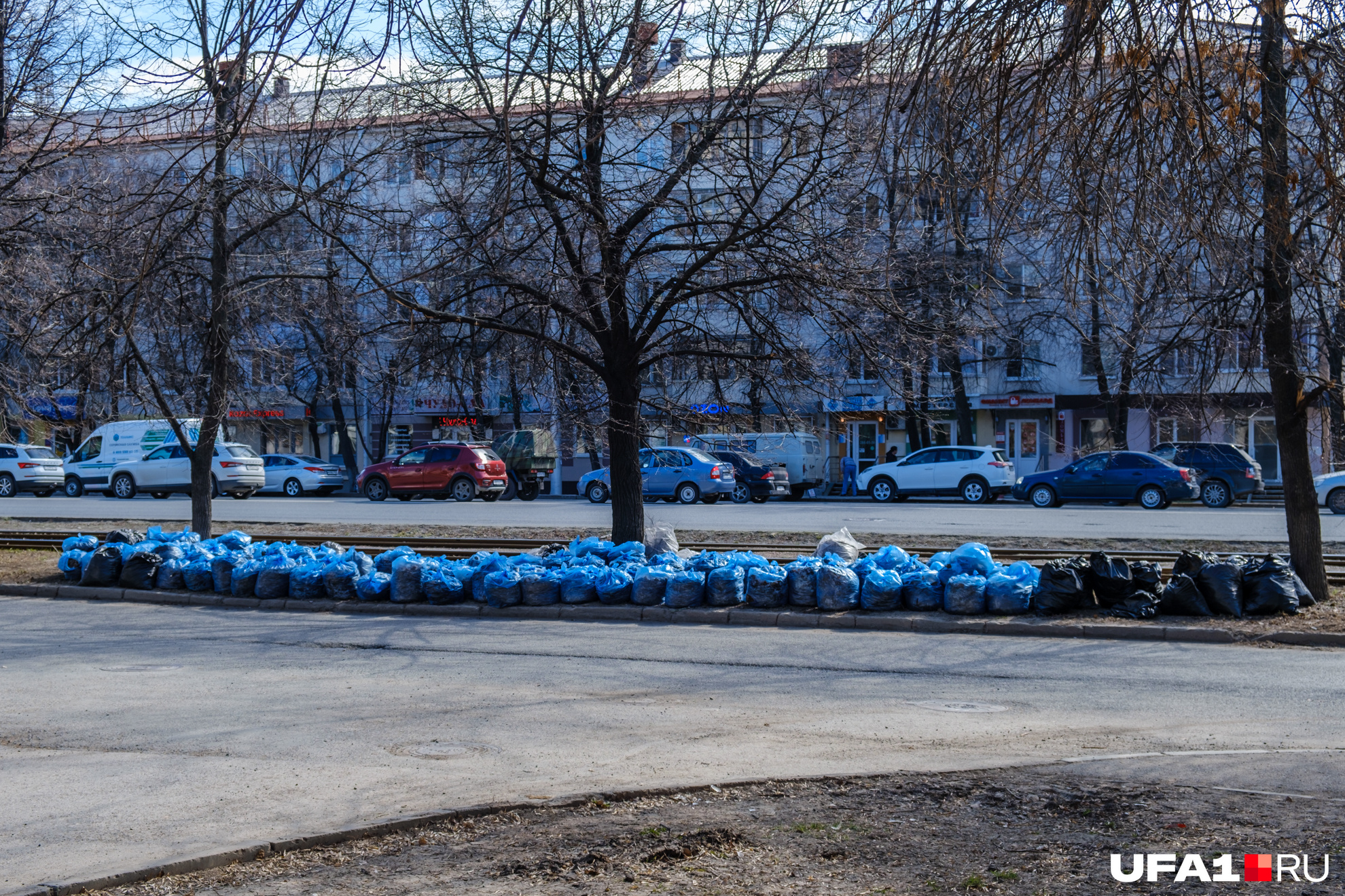 Недавно здесь убрали лишние ветки и листья