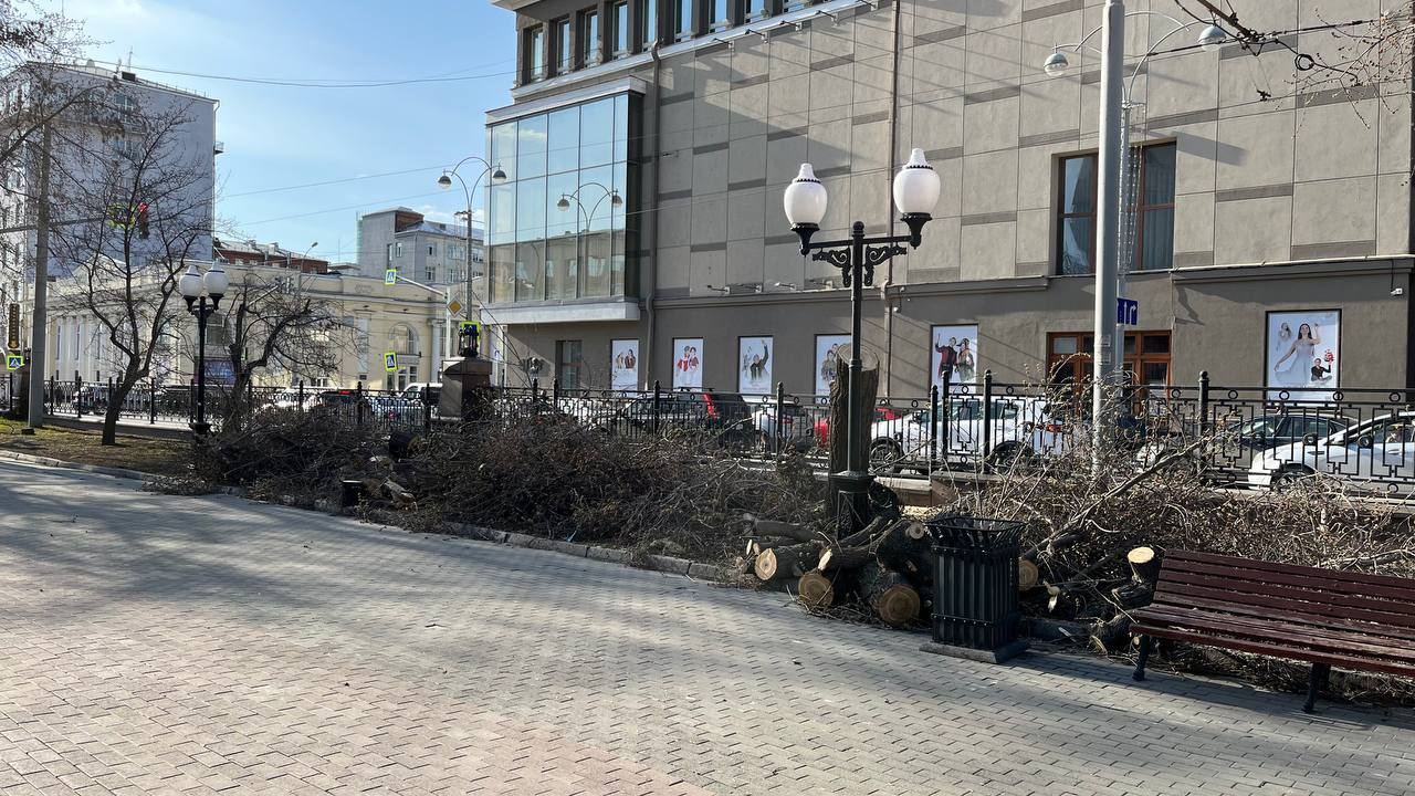 Стало пусто и грустно. На проспекте Ленина срубили несколько крупных деревьев